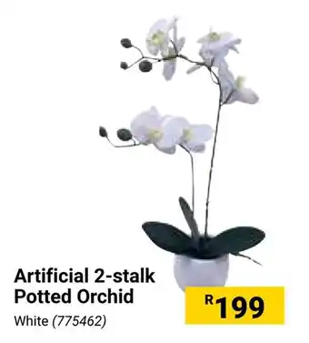 Builders Warehouse Artificial 2-stalk Potted Orchid offer