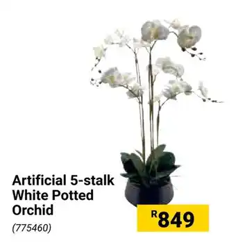 Builders Warehouse Artificial 5-stalk White Potted Orchid offer