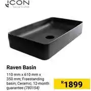 Builders Warehouse Icon Raven Basin offer