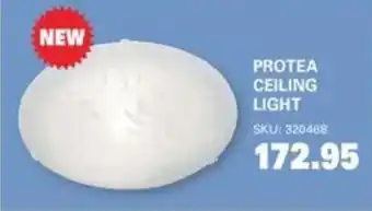 PROTEA CEILING LIGHT