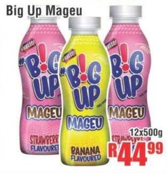 Devland Cash And Carry Big Up Mageu 12x500g offer