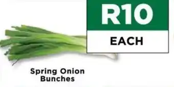 Food Lover's Market Spring Onion Bunches offer