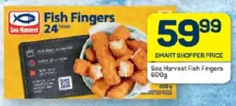 Pick n Pay Hypermarket Sea Harvest Fish Fingers offer