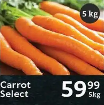 Oxford Freshmarket Carrot Select offer