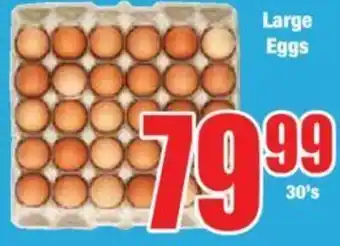 Boxer Large Eggs offer