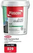 Plascon 20L True Colour Roof