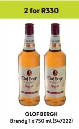 Makro OLOF BERGH Brandy 1x 750 ml offer