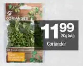 Coriander