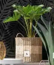 Builders Warehouse DH Palm Leaf Basket 390m x 390mm x 410mm offer