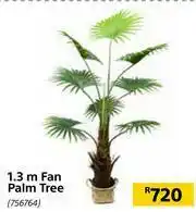 Builders Warehouse 1.3m Fan Palm Tree 756764 offer