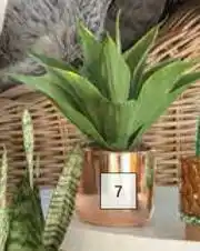 Builders Warehouse Flora Select Artificial Agave In Ceramic Pot offer