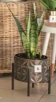 Builders Warehouse Flora Select 2 Piece Copper Pot Set offer
