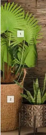 Builders Warehouse Artifial Fan Palm Tree 1.3m offer