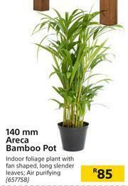 Builders Warehouse 140mm Areca Bamboo Pot offer