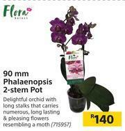 Builders Warehouse Flora 90mm Phalaenopsis 2 Stem Pot offer