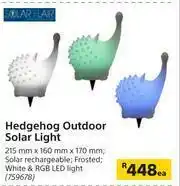 Builders Warehouse Solar Flair Hedgehog Outdoor Solar Light-215mm x 160mm x 170mm Each offer