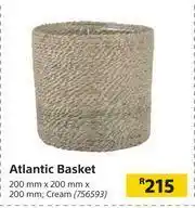 Atlantic Basket (Clear)-200mm x 200mm x 200mm