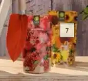 Builders Warehouse Sunflowers Garden Kit offer