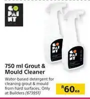 Builders Warehouse Go Paint Grout & Mould Cleaner-750ml Each offer