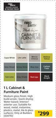 Builders Warehouse Fired Earth Cabinet & Furniture Paint-1Ltr offer