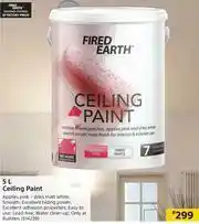 Builders Warehouse Fired Earth Ceiling Paint-5Ltr offer