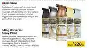 Builders Warehouse Rust Oleum Universal Spray Paint-340g Each offer