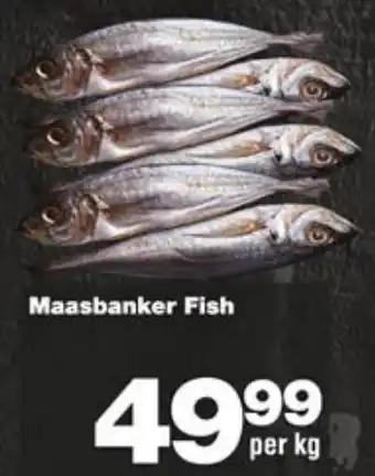 Check Star Maasbanker Fish offer
