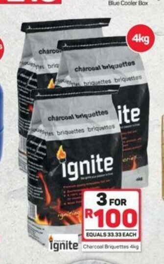 Pick n Pay Charcoal Briquettes 4kg offer