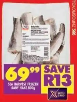 Shoprite SEA HARVEST FROZEN BABY HAKE 800g offer