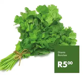 Dhania Bunches