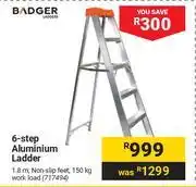 Builders Warehouse Badger 6-Step Aluminium Ladder 717494 offer