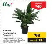 Builders Warehouse Flora 140mm Spathiphyllum Cover Pot offer