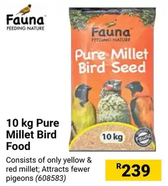 Builders Warehouse Fauna 10 kg Pure Millet Bird Food offer