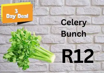 Celery Bunch