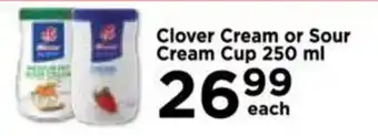 Food Lover's Market Clover Cream or Sour Cream Cup 250 ml offer