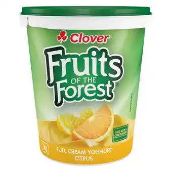 Pick n Pay Liquor Clover Fruits Of The Forest Full Cream Citrus Yoghurt 1kg offer