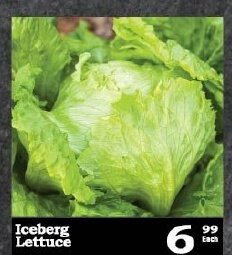 Oxford Freshmarket Iceberg Lettuce offer