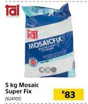 Builders Warehouse Tal Mosaic Super Fix-5kg offer