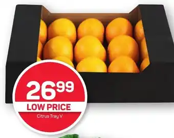 Pick n Pay Citrus Tray V offer