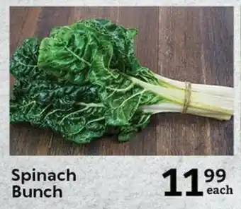 Oxford Freshmarket Spinach Bunch offer