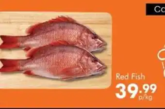 Check Star Red Fish offer
