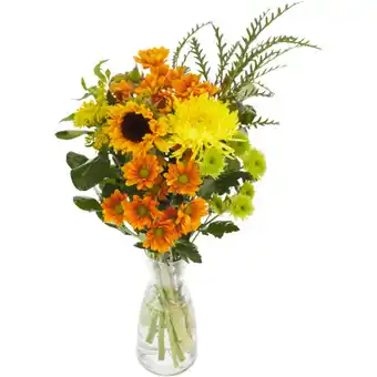 Checkers Liquor Shop Safari Sunset Flower Bouquet (Vase Not Included) offer