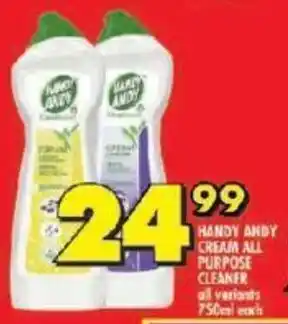 Shoprite HANDY ANDY CREAM ALL PURPOSE CLEANER all variants 750ml offer