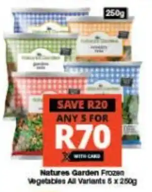 Checkers Natures Garden Frozen Vegetables All Variants 5 x 250g offer