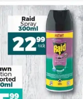 Take 'n Pay Raid Spray 300ml offer