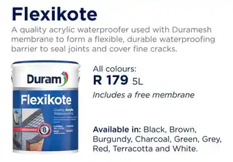 Builders Warehouse Flexikote 5L offer