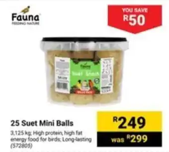 Builders Warehouse 25 Suet Mini Balls offer