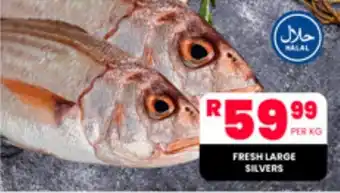 Take 'n Pay FRESH LARGE SILVERS offer