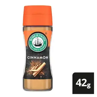 Robertsons Ground Cinnamon Spice 42g