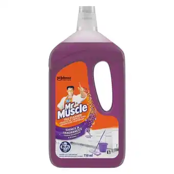 Pick n Pay Liquor Mr Muscle Lavender Fields Tile Cleaner 750ml offer